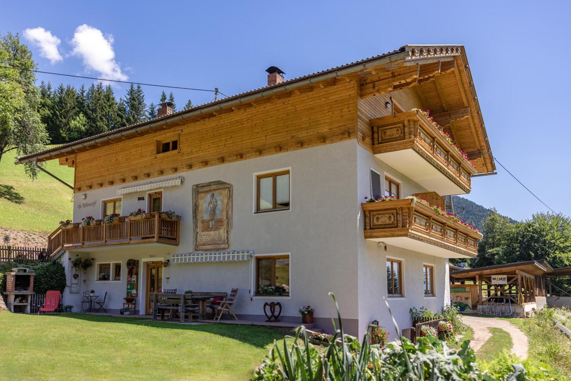 Bio-Bergbauernhof Weger Apartamento Dellach  Exterior foto